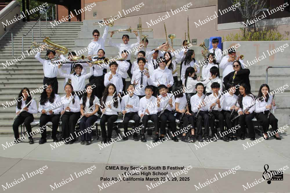 Musical Images